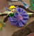 perlas cultivadas