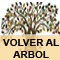 Volver al ARBOL